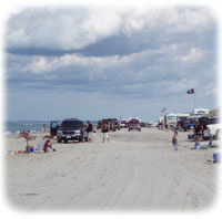 Sandy Neck Beach Park Sandy Neck Beach Park