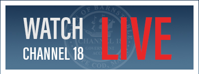 Channel Live